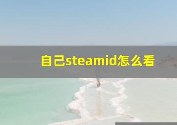 自己steamid怎么看