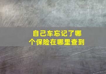 自己车忘记了哪个保险在哪里查到