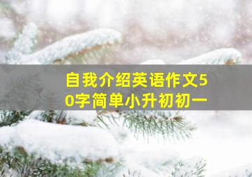 自我介绍英语作文50字简单小升初初一