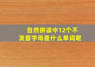 自然拼读中12个不发音字母是什么单词呢