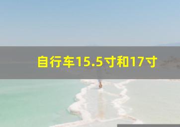 自行车15.5寸和17寸