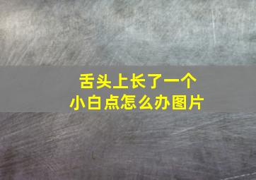 舌头上长了一个小白点怎么办图片