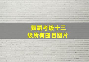 舞蹈考级十三级所有曲目图片