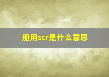 船用scr是什么意思