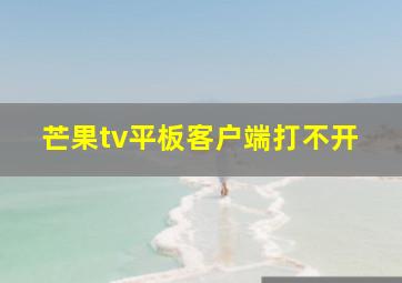 芒果tv平板客户端打不开