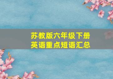 苏教版六年级下册英语重点短语汇总