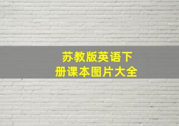 苏教版英语下册课本图片大全