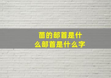 苗的部首是什么部首是什么字