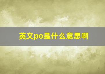 英文po是什么意思啊