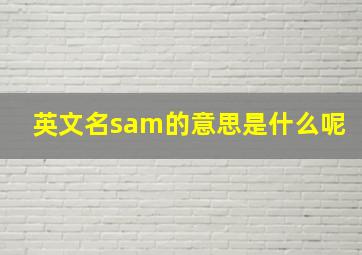 英文名sam的意思是什么呢