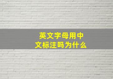 英文字母用中文标注吗为什么