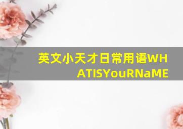 英文小天才日常用语WHATISYouRNaME