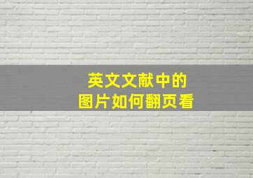 英文文献中的图片如何翻页看