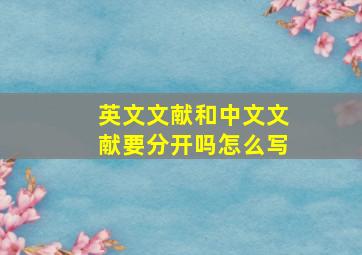 英文文献和中文文献要分开吗怎么写