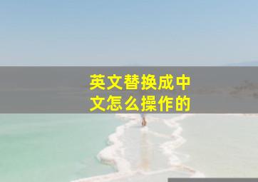 英文替换成中文怎么操作的