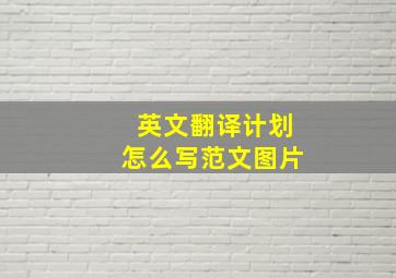 英文翻译计划怎么写范文图片