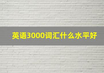 英语3000词汇什么水平好