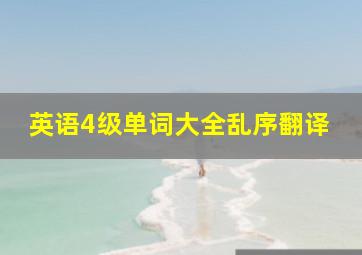 英语4级单词大全乱序翻译