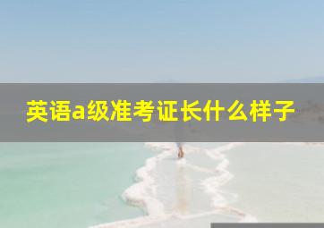 英语a级准考证长什么样子