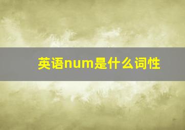 英语num是什么词性