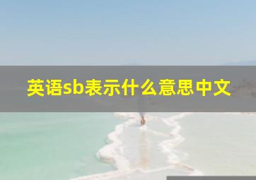 英语sb表示什么意思中文