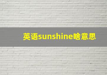 英语sunshine啥意思