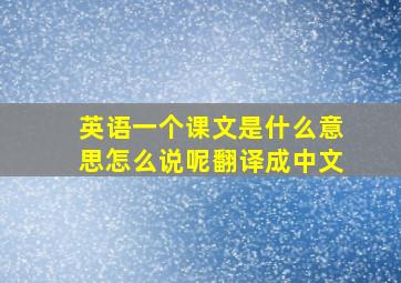 英语一个课文是什么意思怎么说呢翻译成中文