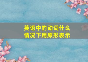 英语中的动词什么情况下用原形表示