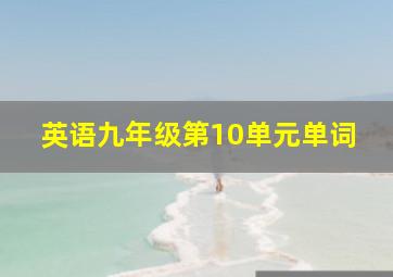 英语九年级第10单元单词