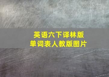 英语六下译林版单词表人教版图片