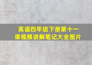 英语四年级下册第十一课视频讲解笔记大全图片