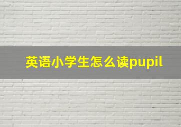 英语小学生怎么读pupil