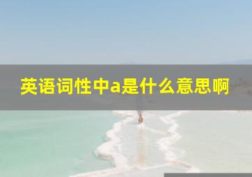 英语词性中a是什么意思啊