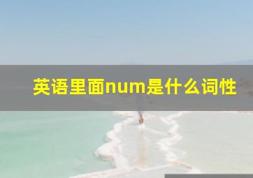 英语里面num是什么词性