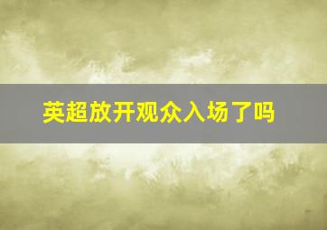 英超放开观众入场了吗