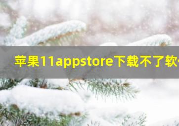 苹果11appstore下载不了软件