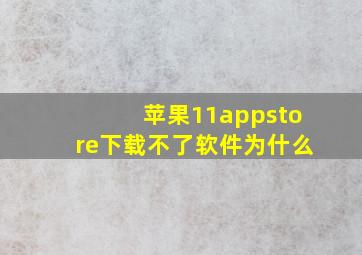 苹果11appstore下载不了软件为什么