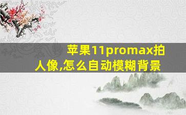 苹果11promax拍人像,怎么自动模糊背景