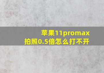 苹果11promax拍照0.5倍怎么打不开