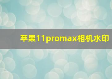 苹果11promax相机水印