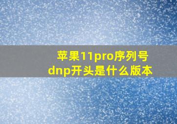 苹果11pro序列号dnp开头是什么版本