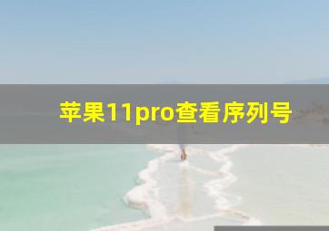 苹果11pro查看序列号