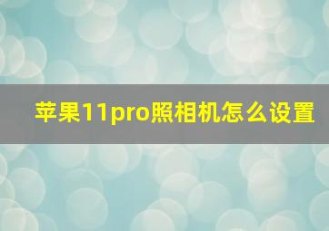 苹果11pro照相机怎么设置