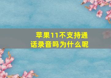 苹果11不支持通话录音吗为什么呢