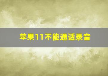 苹果11不能通话录音