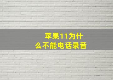 苹果11为什么不能电话录音