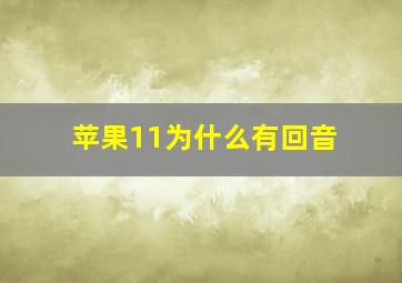 苹果11为什么有回音