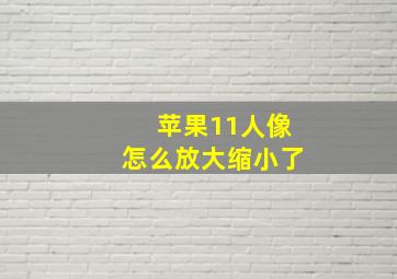 苹果11人像怎么放大缩小了