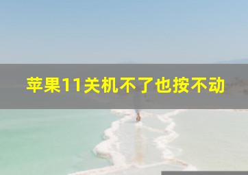 苹果11关机不了也按不动