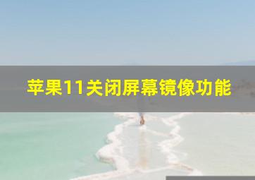 苹果11关闭屏幕镜像功能